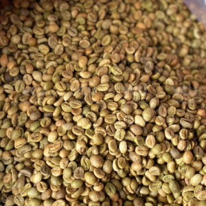 ROBUSTA GRADE 1 S18 CLEAN