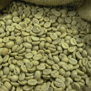 ROBUSTA GRADE 1 S13 STANDARD